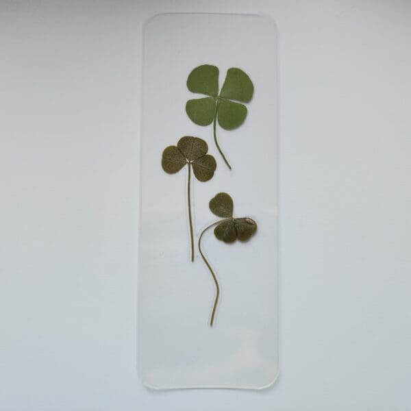 Pressed Clover Bookmarks - pressed plant bookmark - Real Botanical Clovers - Handcrafted Bookmarks - Unique Gift for Readers - Image 2