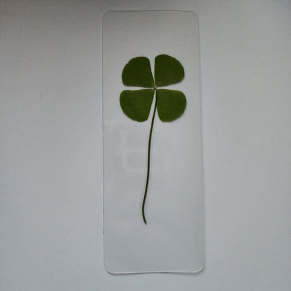 Pressed Clover Bookmarks - pressed plant bookmark - Real Botanical Clovers - Handcrafted Bookmarks - Unique Gift for Readers - Image 4